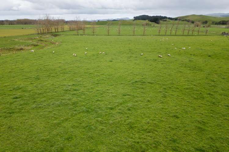 533 Raukawa Road Raukawa_18