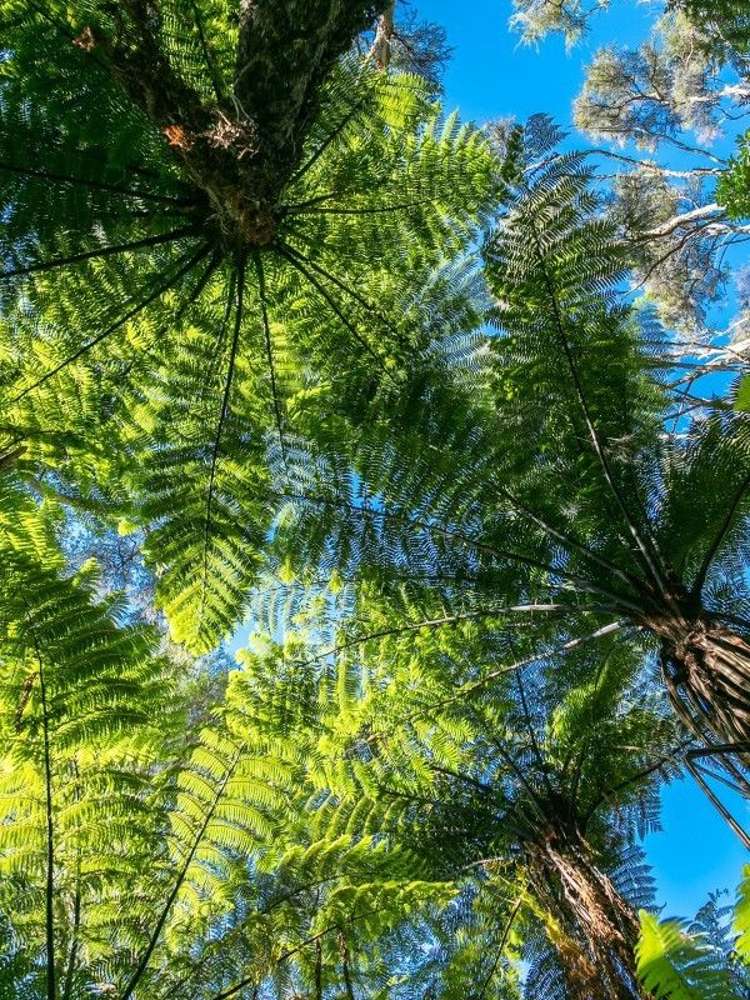 2940 Kenepuru Road Kenepuru Sound_6