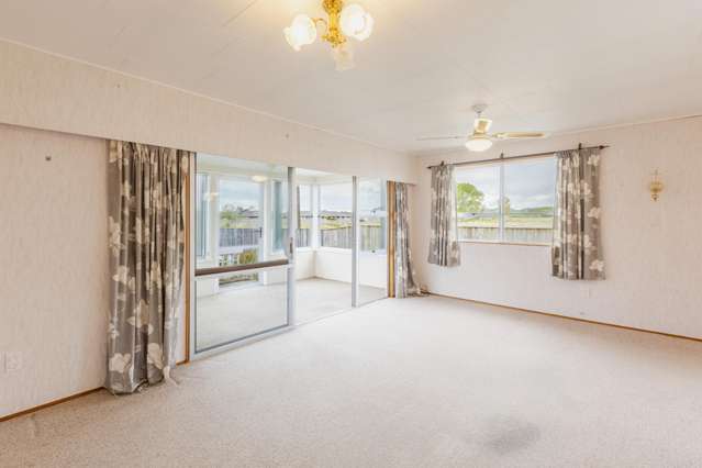 14A Tutanekai Street Waipukurau_3