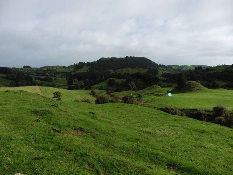 2837 State Highway 4 Aria_33