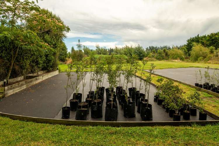 409A Springbank Road Swannanoa_8