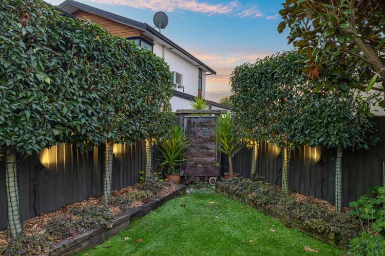 27 Roxburgh Street Sydenham_6