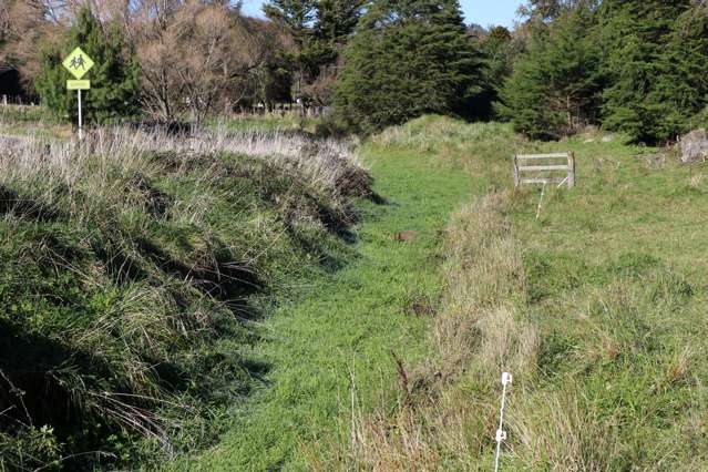 - Te Pohue Loop Road Te Pohue_2