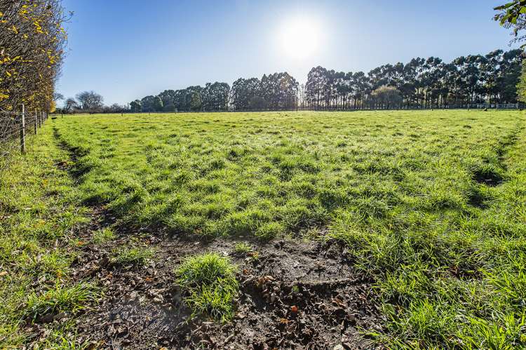 137 Corbetts Road Springston_4