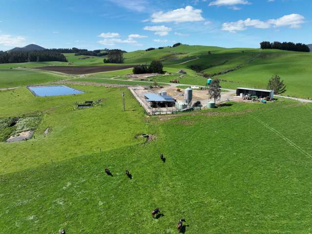 198 Quarry Hills Fortification Road Quarry Hills_1