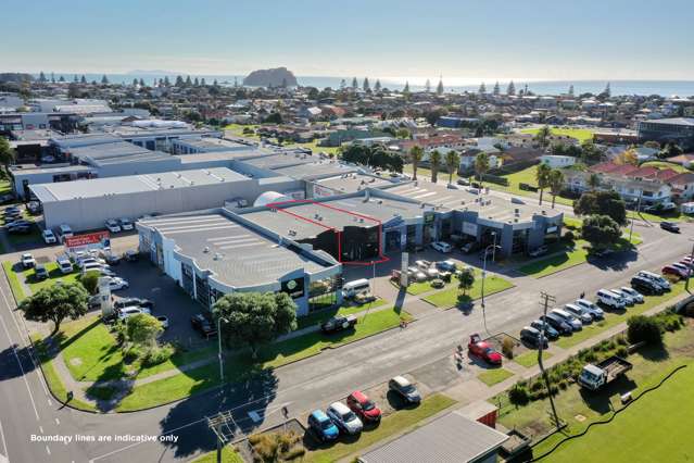 26 Matai Street Mt Maunganui_1