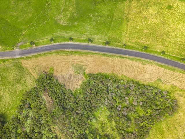 53 Hinamoki Drive Kaiwaka_3