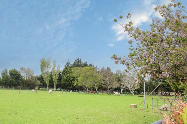 143 Wallacetown Lorneville Highway Lorneville_20