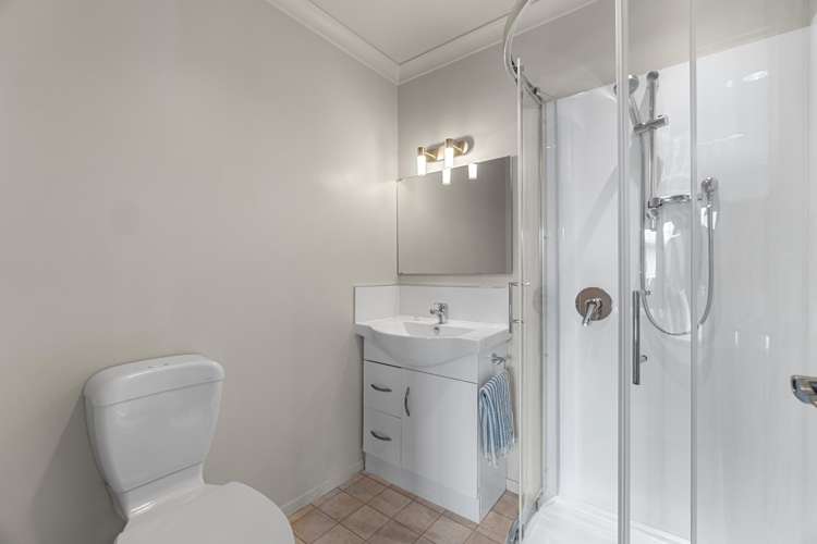 250A Mangapiko Street Te Awamutu_11