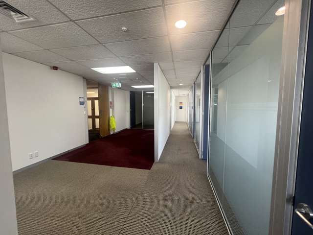 Level 2/3 Margot Street Newmarket_4