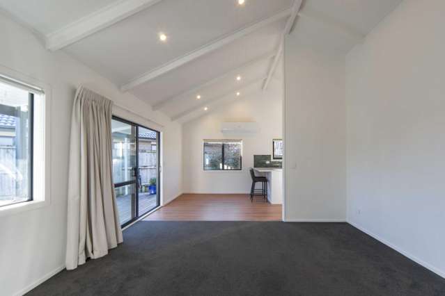 29 Tupelo Street Pukete_4