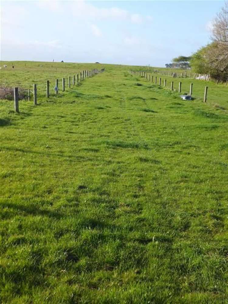 124 Parore West Road Dargaville_9