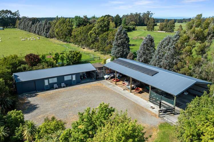 192 Terrace Road Leithfield_38