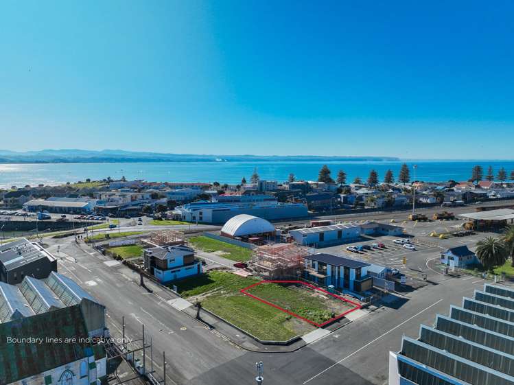 3 Tu Atu Street Ahuriri_14