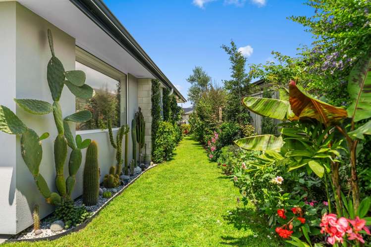 11 Silver Fern Lane Papamoa_14