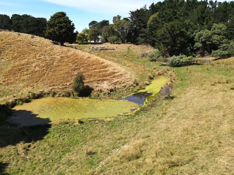 Esdaile Road Dannevirke_20