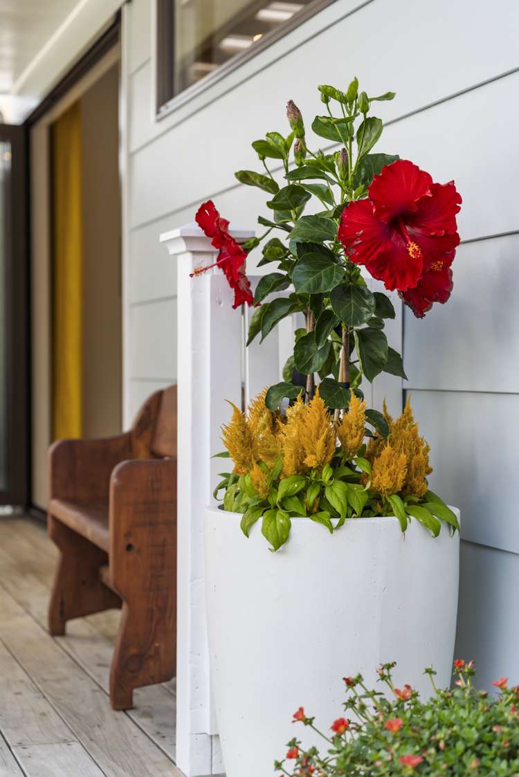 2/9 Lancaster Road Beach Haven_17