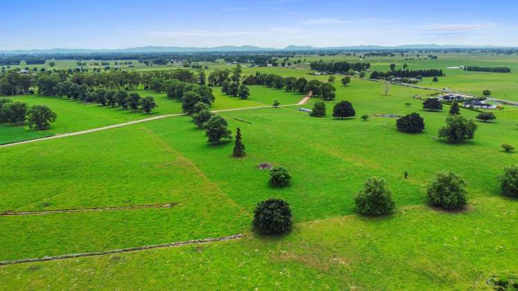 51a Waverley Road Gordonton_33