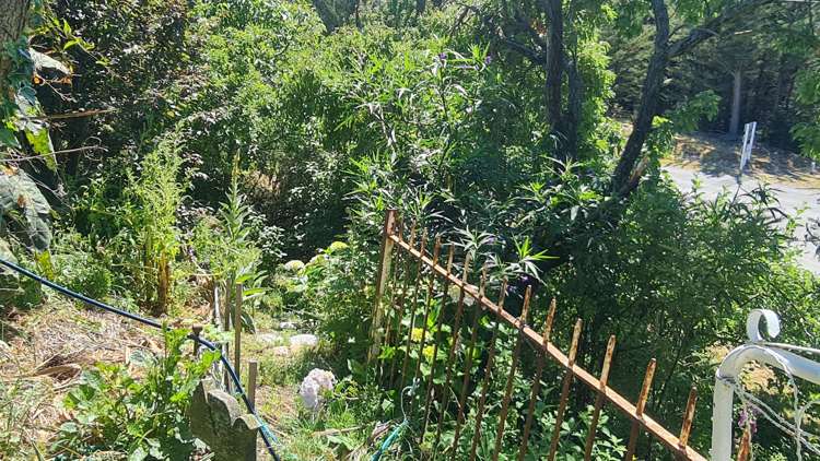 36 Hakatere Drive Wakanui_18