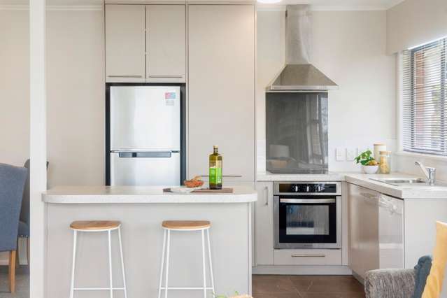 2A Douglas Avenue Mount Albert_4