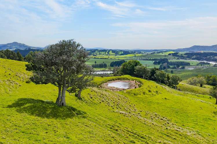 1334 Pukehuia Road Tangiteroria_21