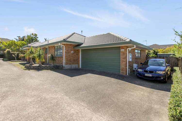 218b Campbell Road Greenlane_15