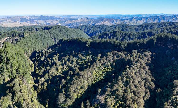 322 Creek Road Mangamahu_6