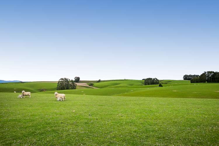 1152 Waitahuna West Road Lawrence_8