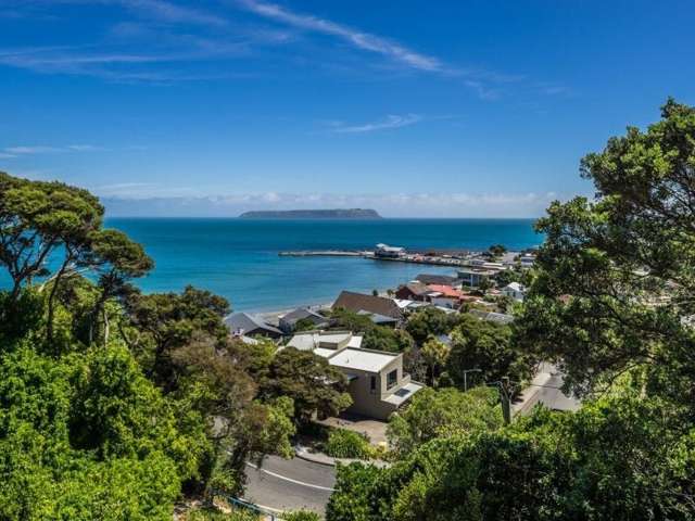 150 Motuhara Road Plimmerton_1