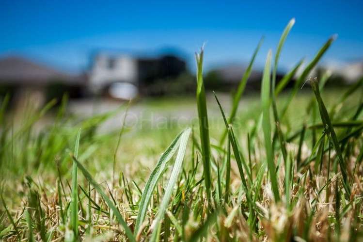 43 Waterways Drive Ohope_6