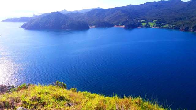 123 Allom Bay Great Barrier Island_1