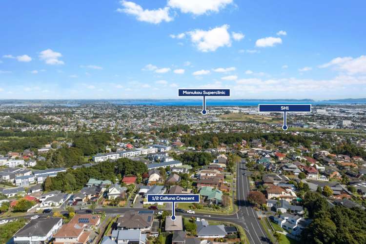 1/2 Calluna Crescent Totara Heights_19