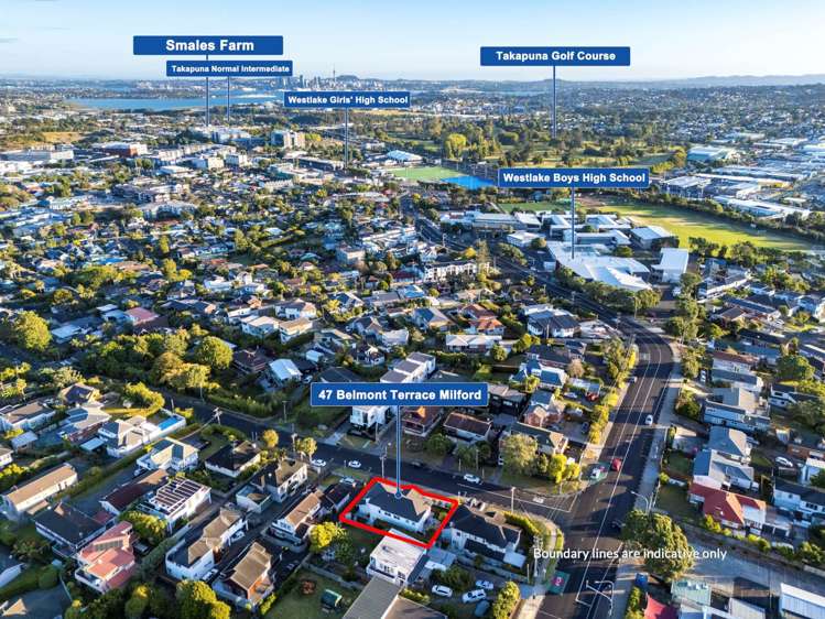 47 Belmont Terrace Milford_28