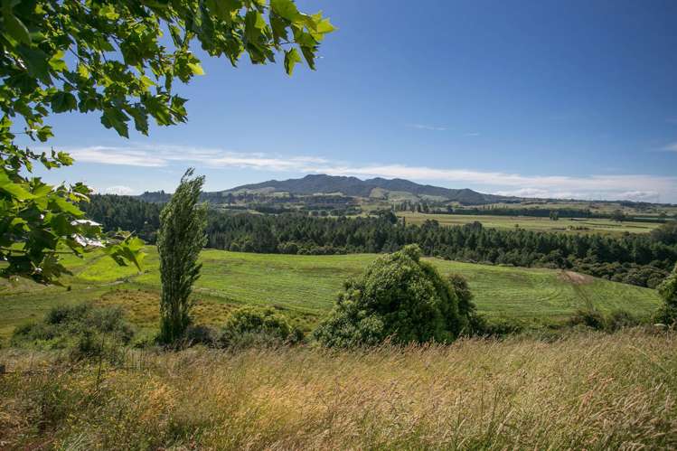 1134 Arapuni Road Arapuni_15