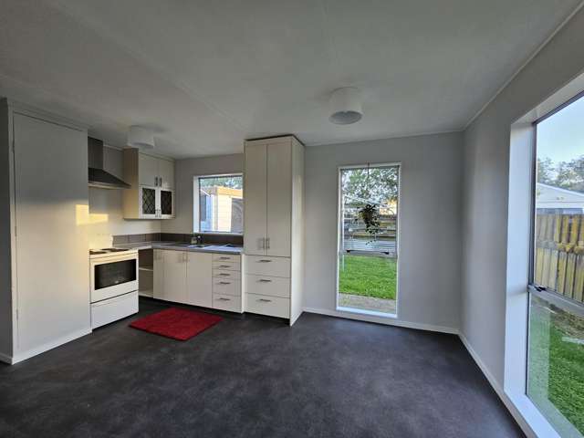 23 Grenville Street Levin_3
