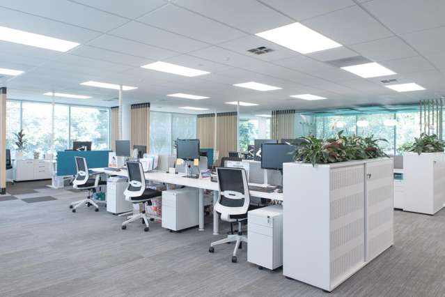 3C, 331  Rosedale Road Albany_3
