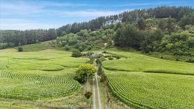 280 Kaitaringa Road Aria_25