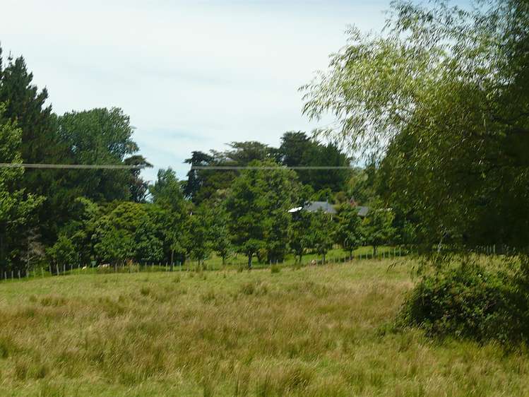 843 Whakapirau Road Whakapirau_29
