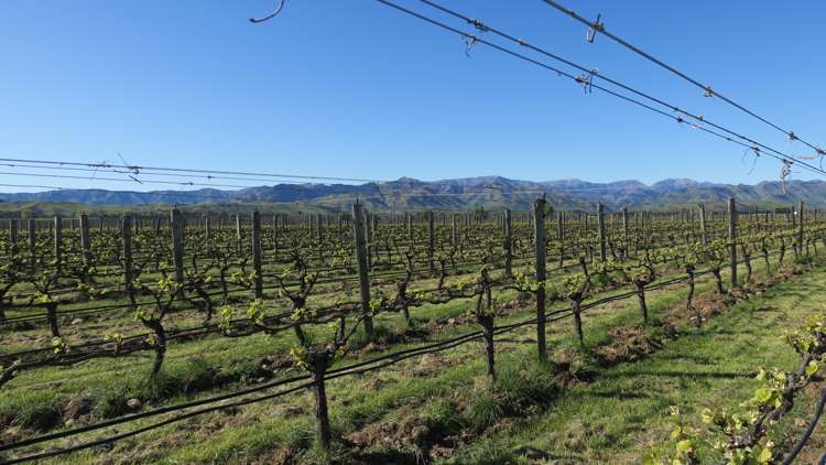 708 Waihopai Valley Road Waihopai Valley_15