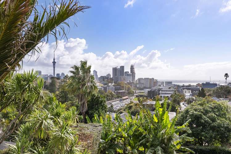 7 Birdwood Crescent Parnell_31