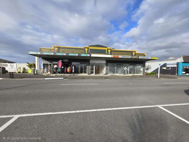 Investment Opportunity