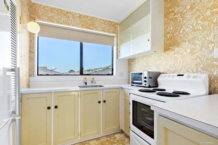 263 Darlington Road Miramar_5