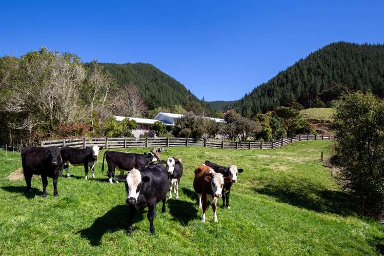 312 Lud Valley Road Hira_24