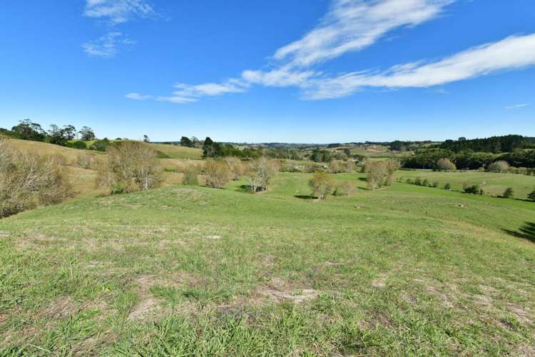 323 Kahikatea Flat Road Waitoki_29