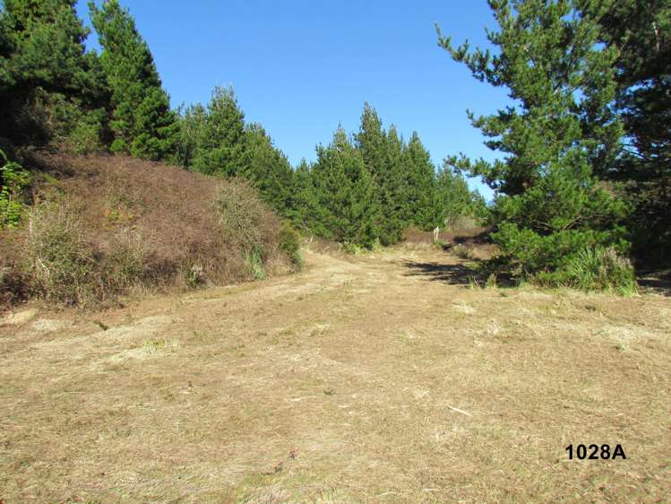 1028 A,B,C McIvor Road Rotoma_6