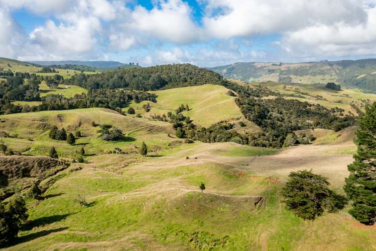 448 Taita Road Waimamaku_8