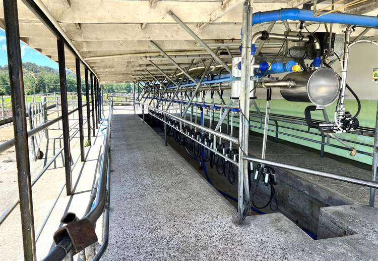 989 State Highway 69 Reefton_7