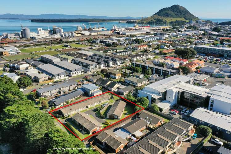 8-10 Hinau Street Mt Maunganui_6