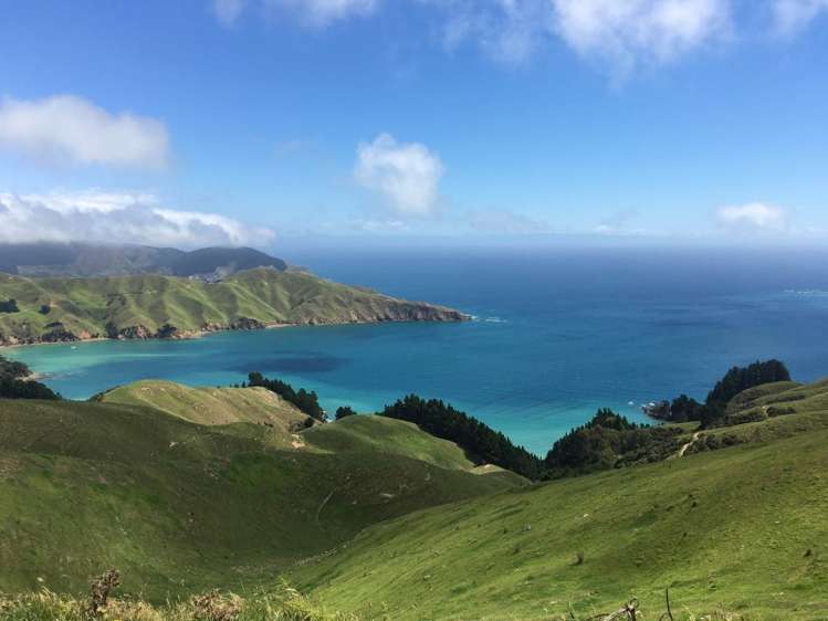 5193 Croisilles-French Pass Road Marlborough Sounds_5