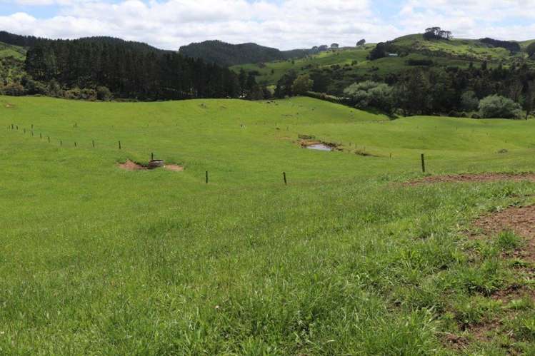 25 Gully Road Pukemiro_15